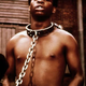 Roots (Warner Bros.)